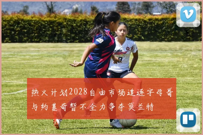 热火计划2028自由市场追逐字母哥与约基奇暂不全力争夺莫兰特